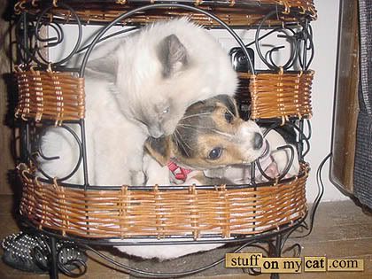 20061019-UNKNOWN.jpg