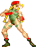 Cammy-ssf2-stance1.gif