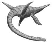 180px-Plesiosaurus2.jpg