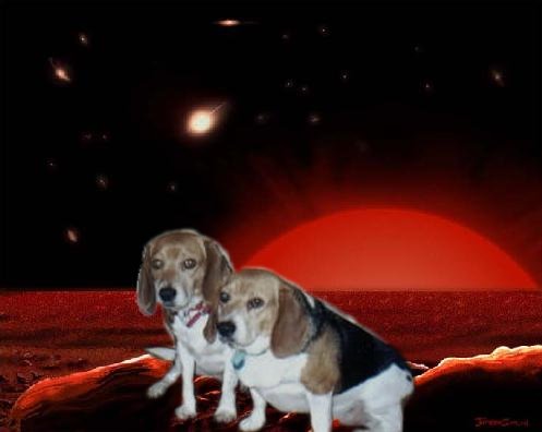 beaglesInSpace.jpg