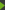 link.gif
