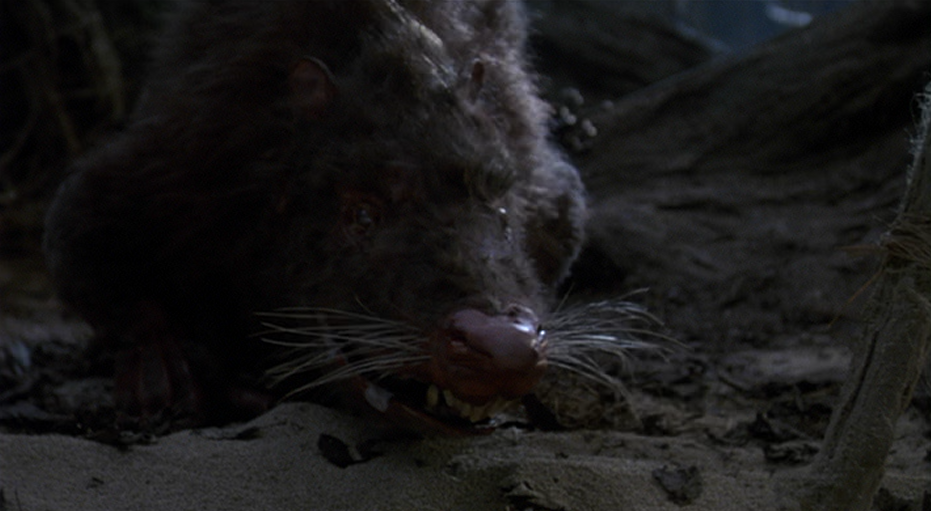 ROUS.png
