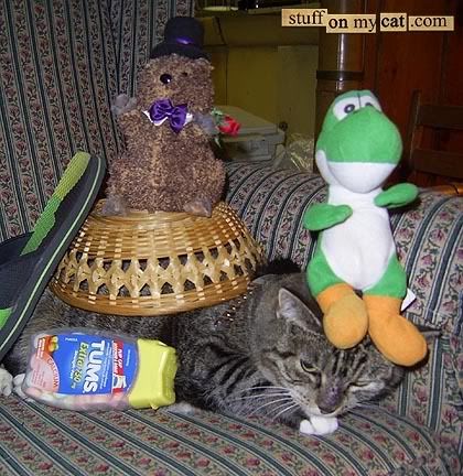 20061018-MAGGIE.jpg