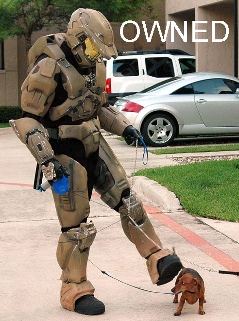 halo-walking-dog.jpg