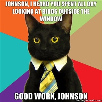 021711_business_cat_meme_3.jpg