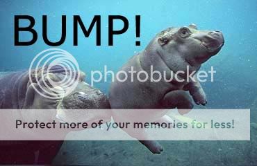 hippo_bump.jpg