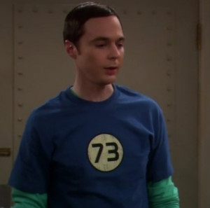 73_The+Sheldon+Cooper.jpg