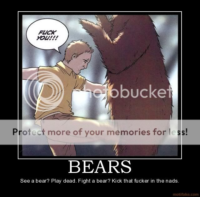 Poster-Bears.jpg