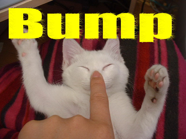 bump_kitty.jpg